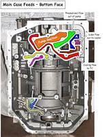 ZF5HP24 PATHWAYS